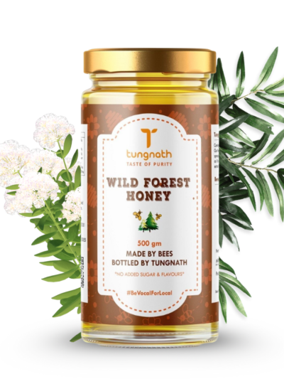 WILD FOREST HONEY