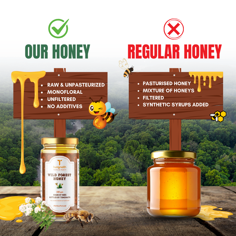 WILD FOREST HONEY - Image 4